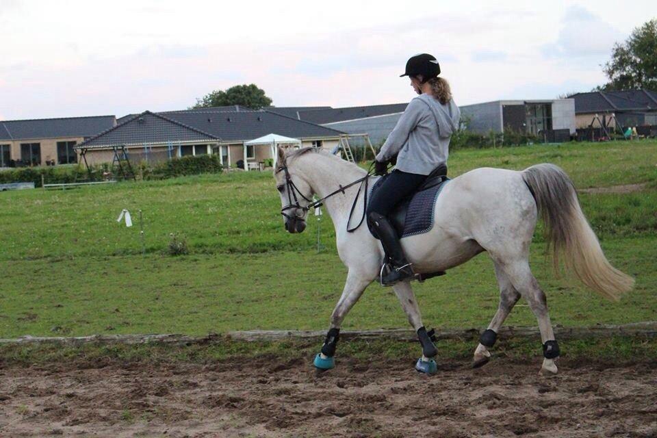 DSP Baxter billede 20