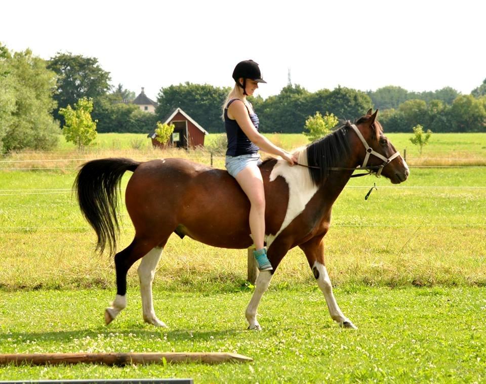 Pinto Cadeaux billede 5