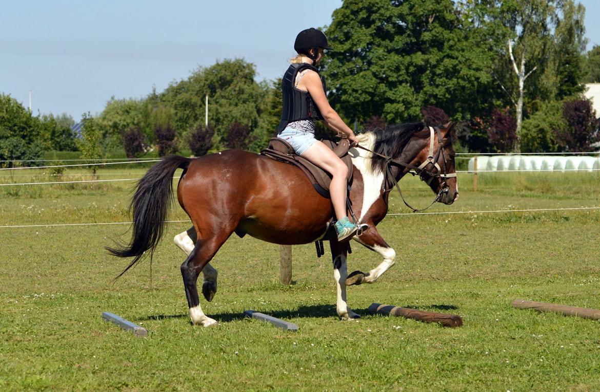 Pinto Cadeaux billede 17