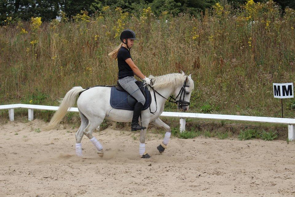 Anden særlig race snehvide billede 2