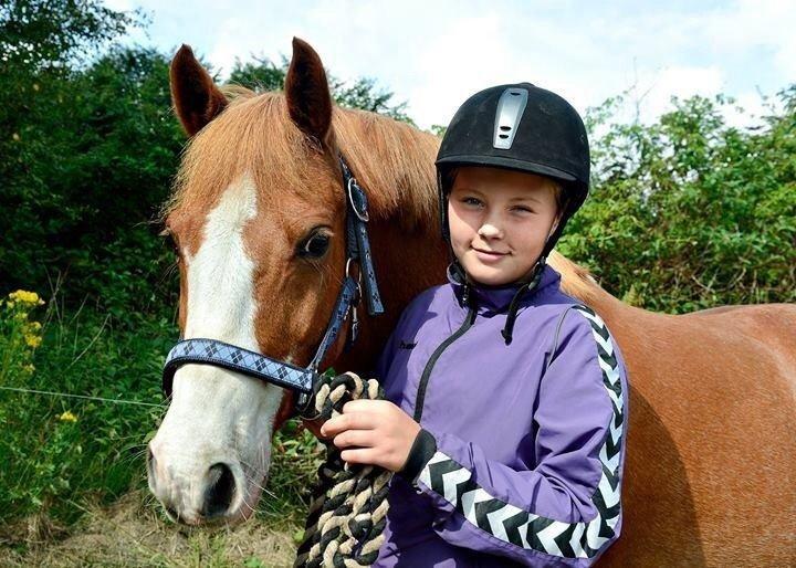 Anden særlig race Mr cutie billede 4