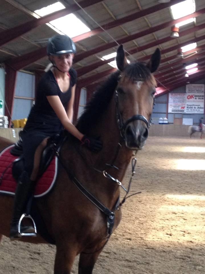 Dansk Varmblod Stengårds Laktose billede 2