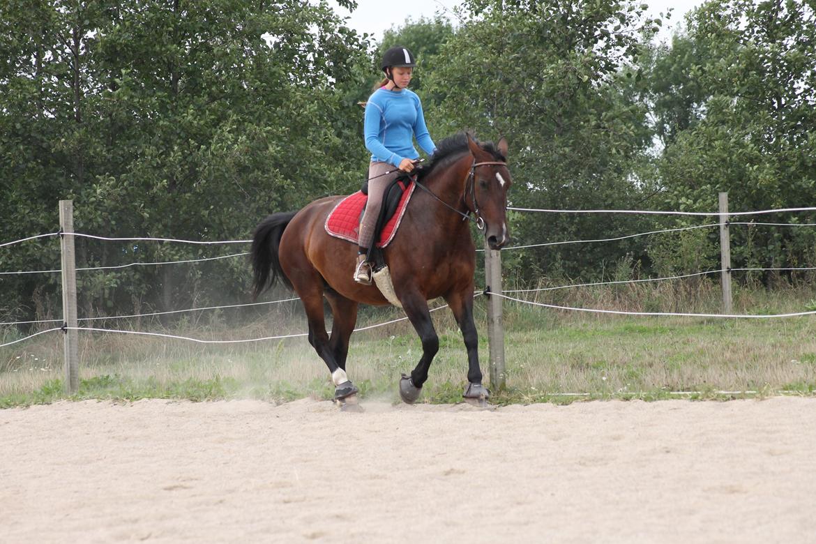 Oldenborg Bitten Hedegård (kælepotten)<3 Solgt :i billede 5