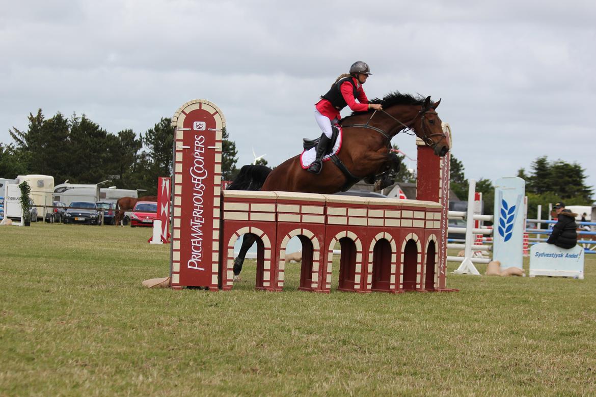 Dansk Varmblod Happy Heart C  - Sydjysk mesterskab hold 2014 billede 17