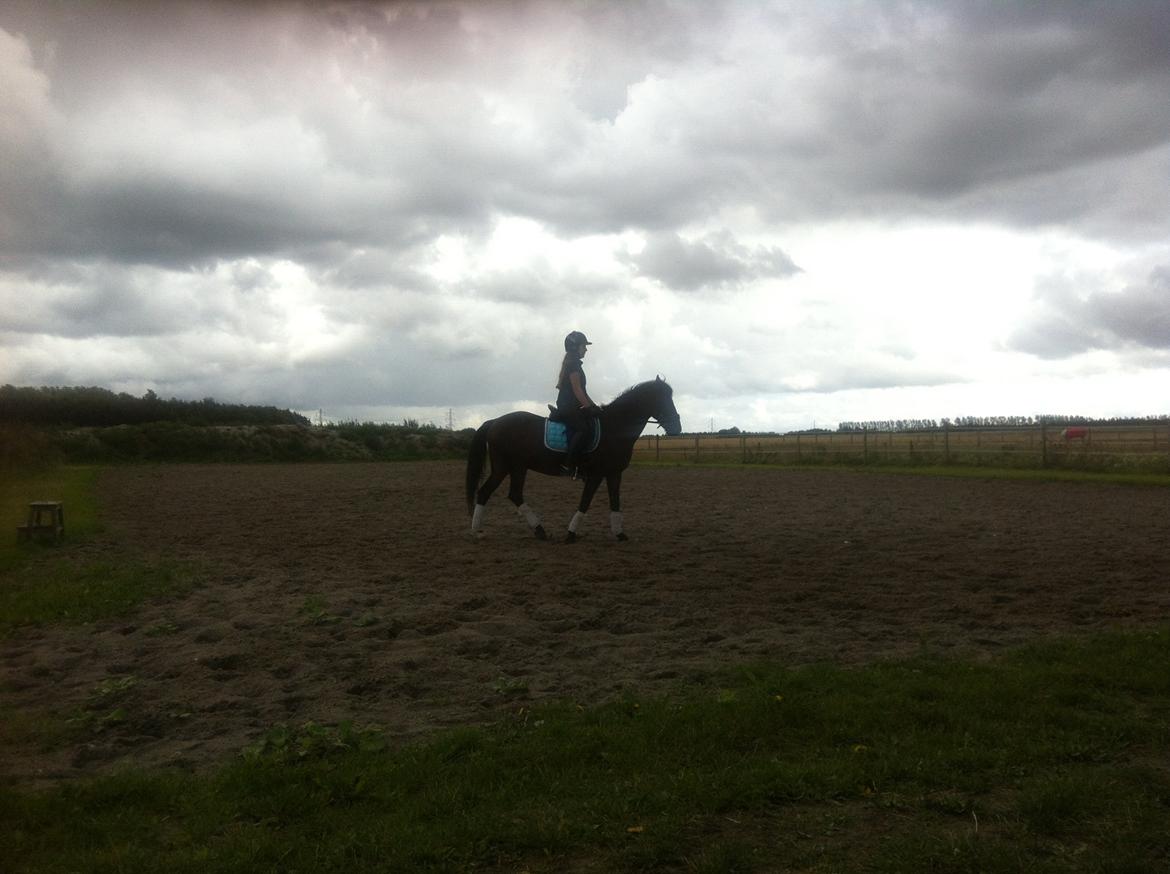 Anden særlig race Mr Saxo Vallentino<3 R.I.P. :( <3 billede 4