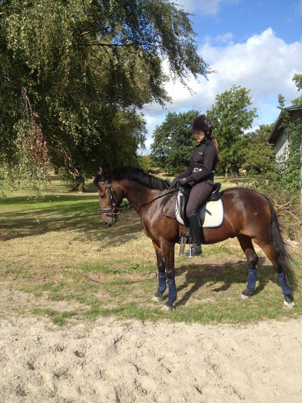 Anden særlig race Mr Saxo Vallentino<3 R.I.P. :( <3 billede 5