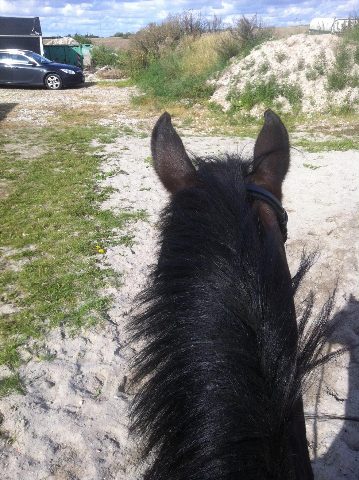 Anden særlig race Mr Saxo Vallentino<3 R.I.P. :( <3 billede 11