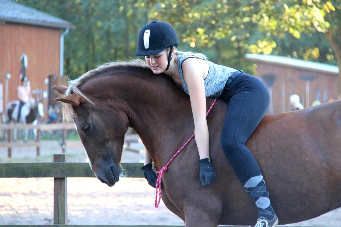 Anden særlig race Sasha billede 5