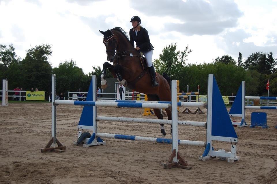 Holstener CHAIO billede 3