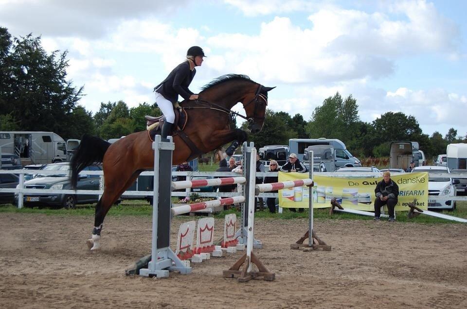 Holstener CHAIO billede 5