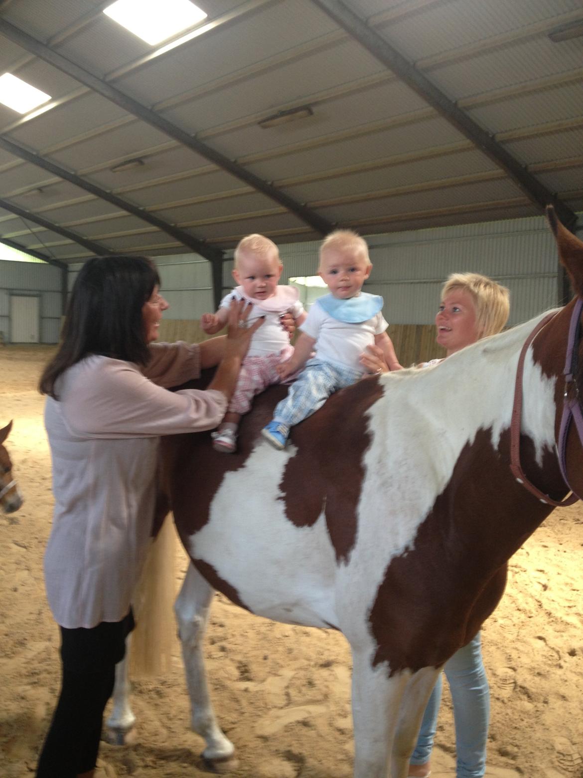 Pinto Malibu Passion billede 35