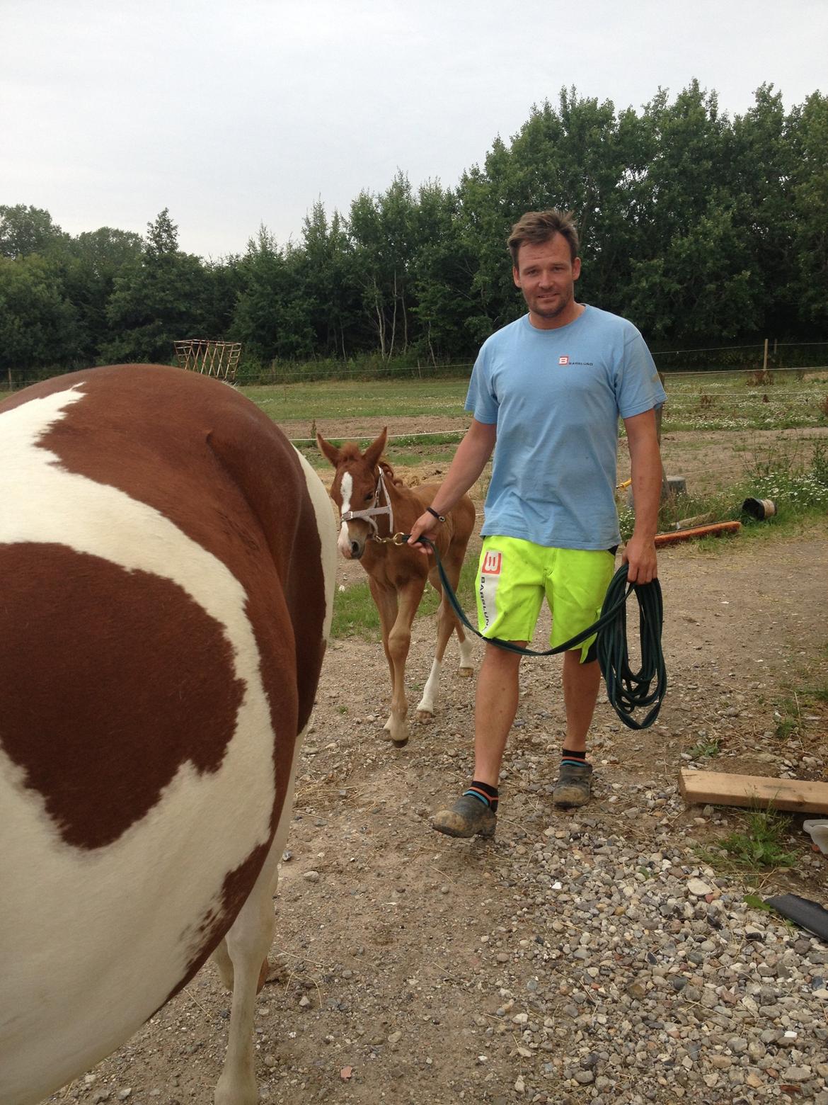 Pinto Malibu Passion billede 38