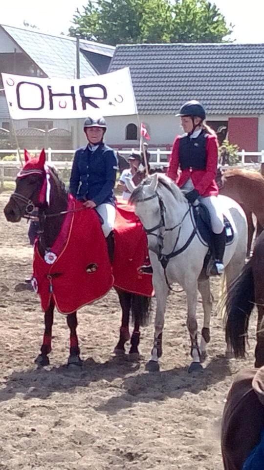 DSP Holmgaards Dalí - Distrikmesterskabet for hold billede 2