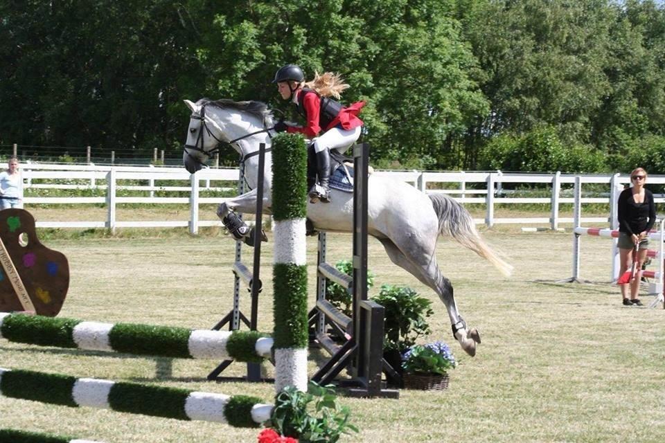 DSP Holmgaards Dalí - Distrikmesterskabet for hold billede 4