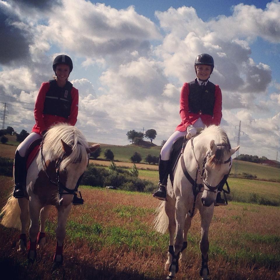 DSP Holmgaards Dalí - Jagt 2014 billede 5