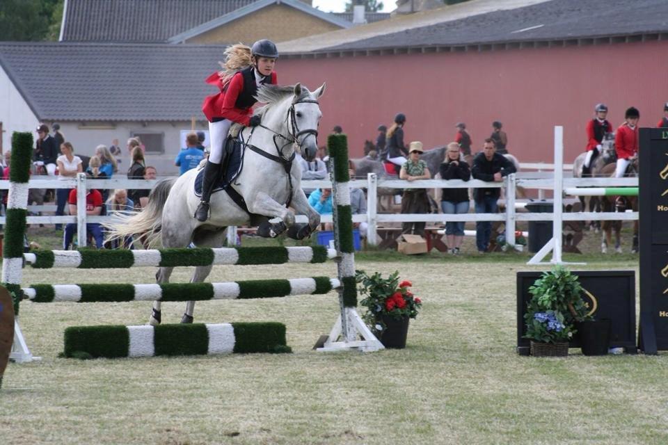 DSP Holmgaards Dalí - Distrikmesterskab  billede 7