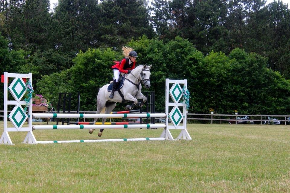 DSP Holmgaards Dalí - D4 billede 9