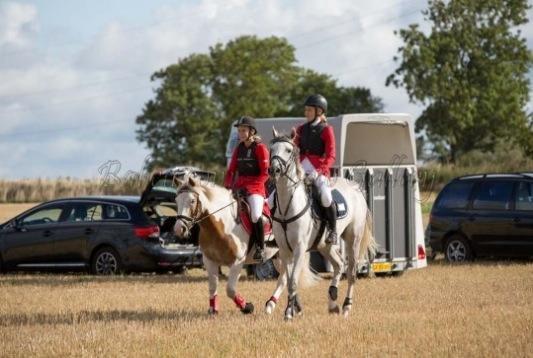 DSP Holmgaards Dalí - Jagt 2014 billede 8