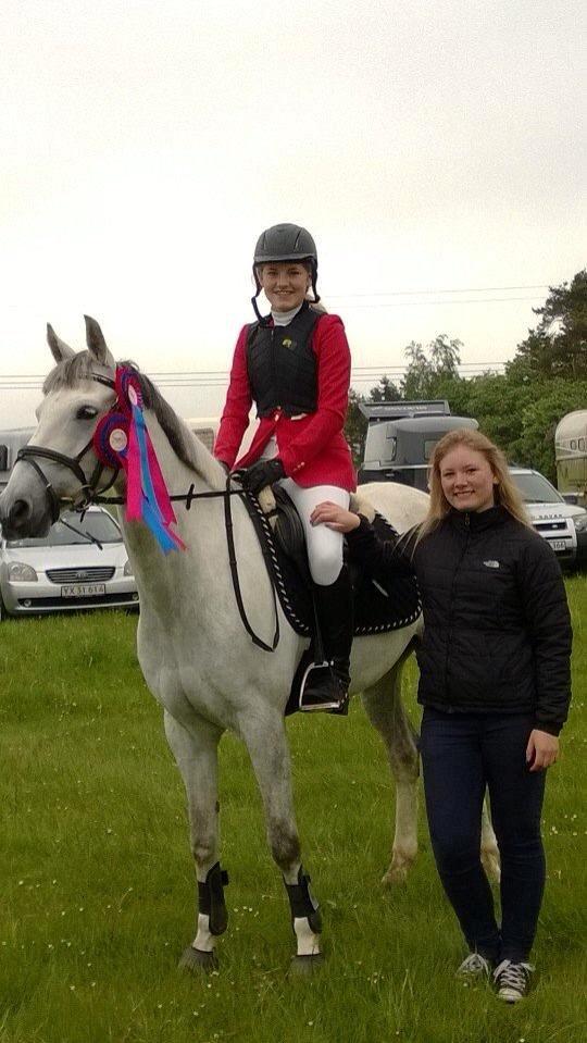 DSP Holmgaards Dalí billede 10