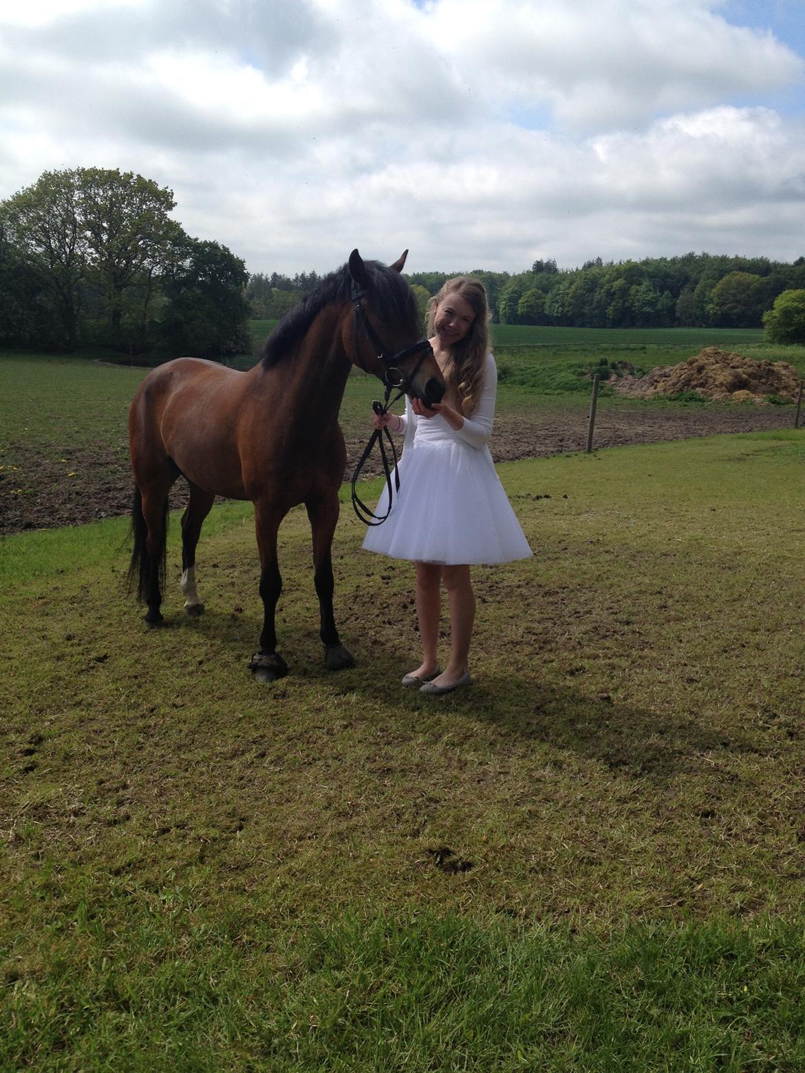 DSP Toftegaards Nismo billede 7