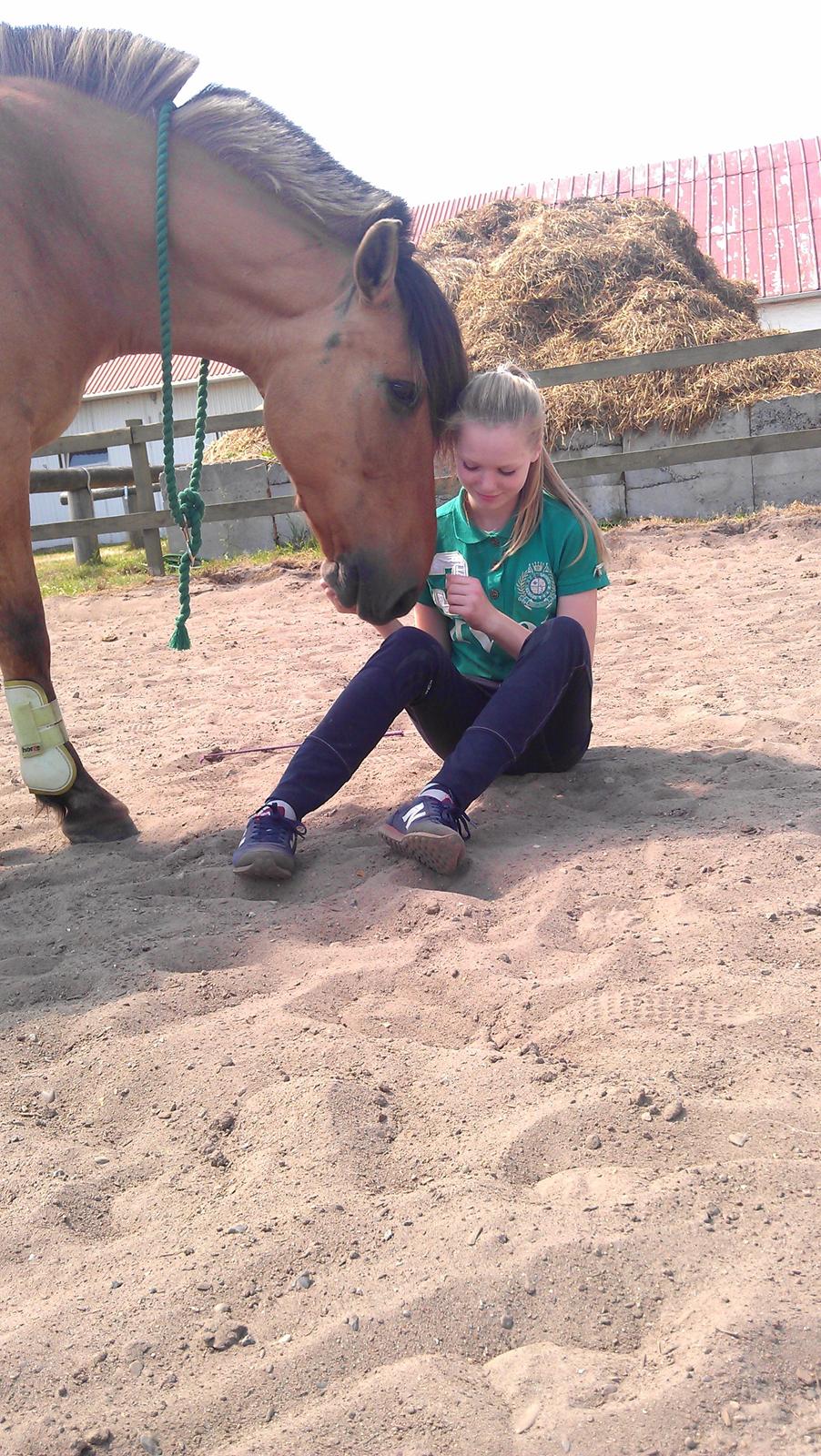 Anden særlig race Joker AKA Jokke billede 6