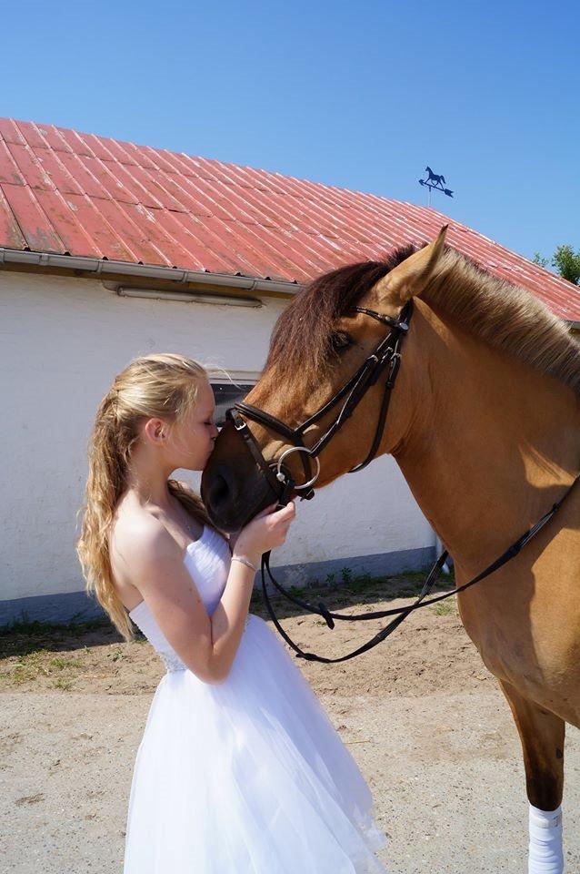 Anden særlig race Joker AKA Jokke billede 11