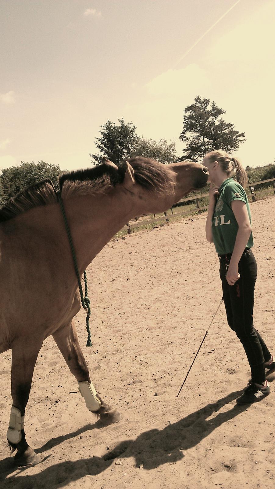 Anden særlig race Joker AKA Jokke billede 20
