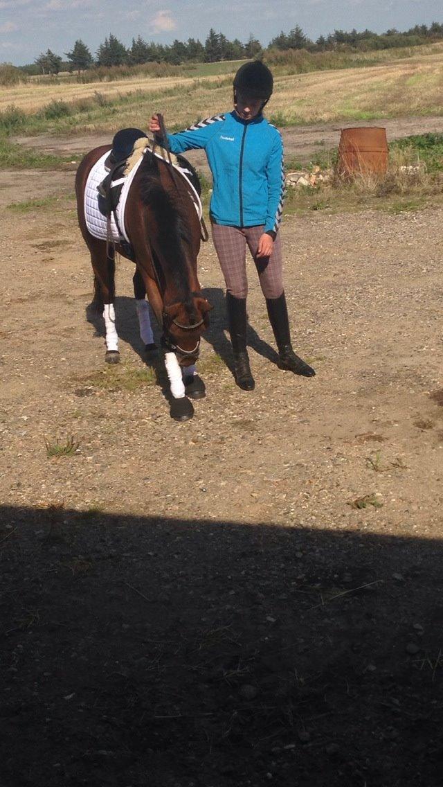 Pinto Vestergårdens Jasmin  <3 - jasse den bedste pony<3 billede 19
