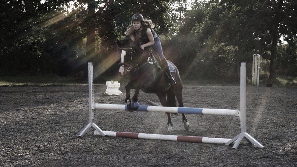 New Forest Sjølunds Tornado! billede 15