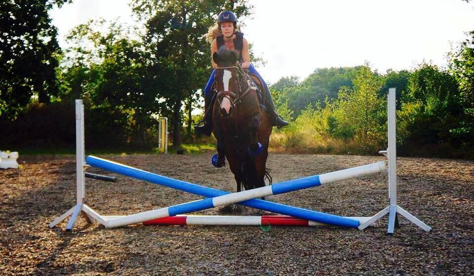 New Forest Sjølunds Tornado! billede 17