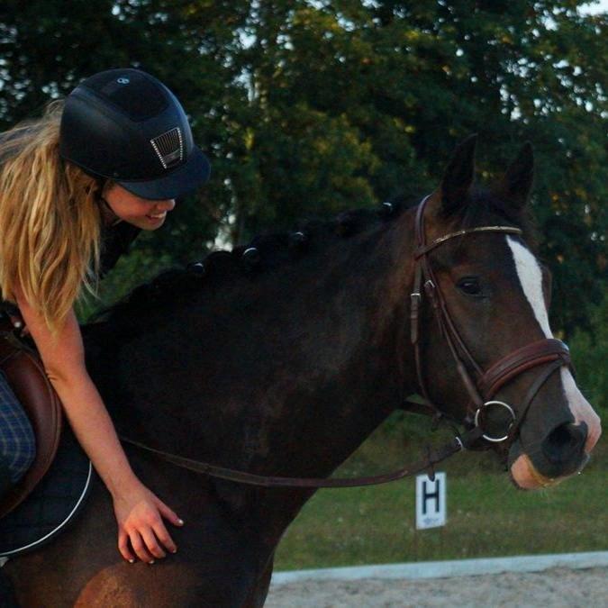 New Forest Sjølunds Tornado! billede 22