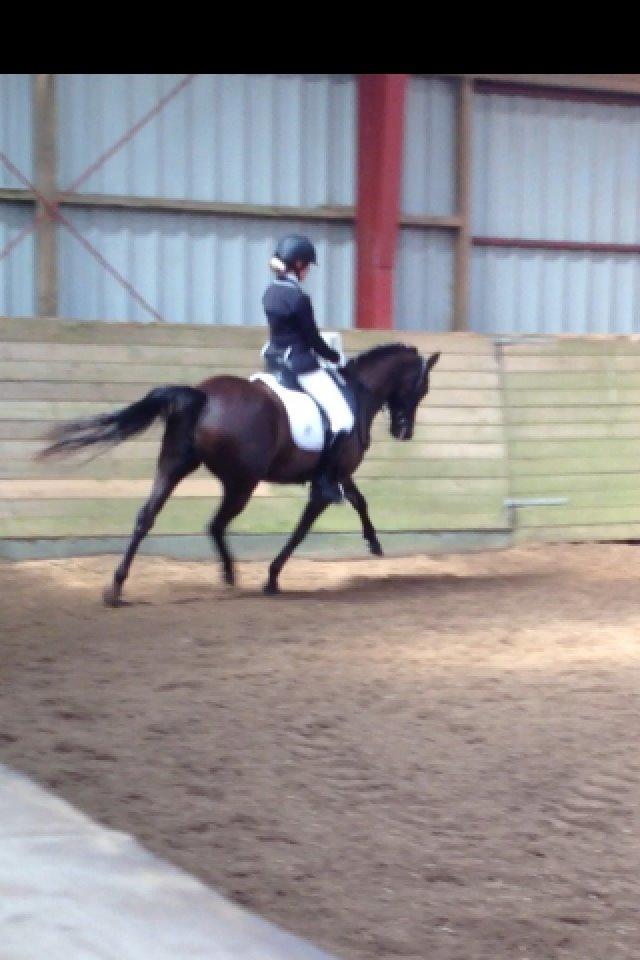 Welsh Pony af Cob-type (sec C) klarisa søblink - Det går frem, med min lille pony! <3 <3 (2014 koling rideklub distriktstævne) billede 8