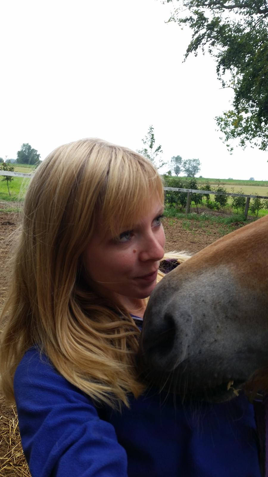 Fjordhest Curious just like me *Smilla* billede 5