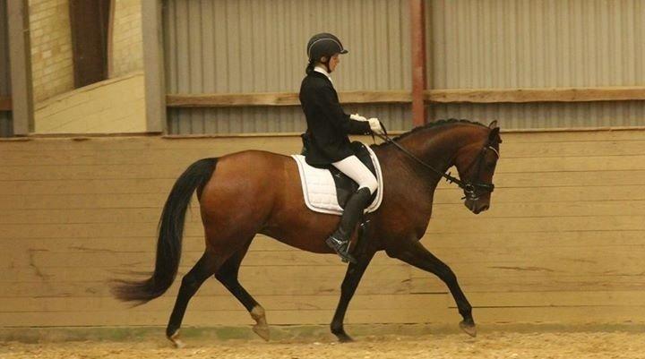 Oldenborg Passadena avenue billede 1