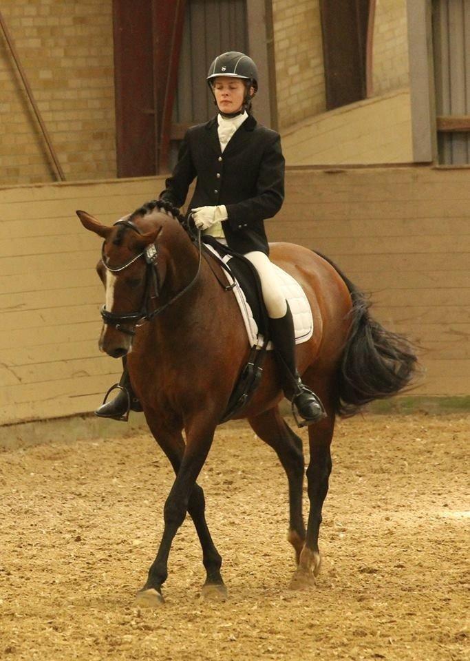 Oldenborg Passadena avenue billede 3