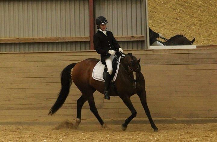 Oldenborg Passadena avenue billede 4