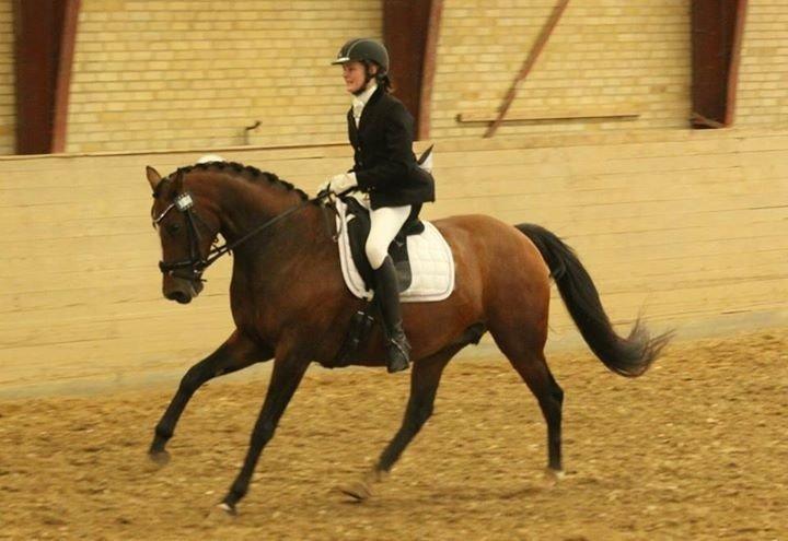 Oldenborg Passadena avenue billede 5