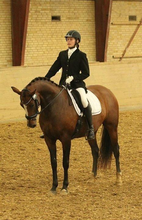 Oldenborg Passadena avenue billede 6