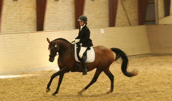 Oldenborg Passadena avenue billede 7