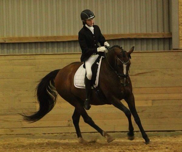 Oldenborg Passadena avenue billede 8