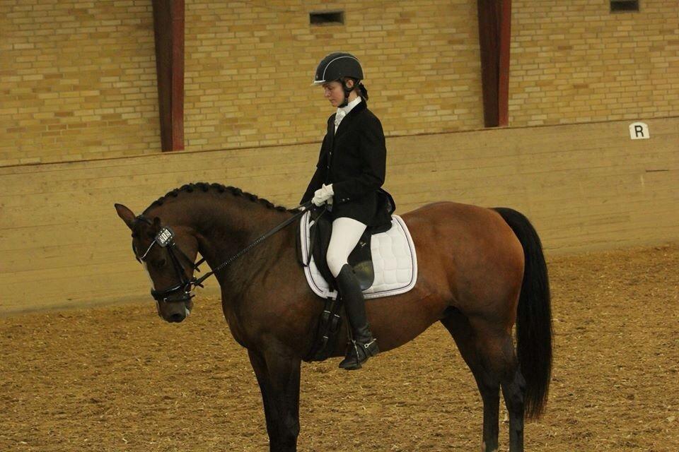 Oldenborg Passadena avenue billede 9