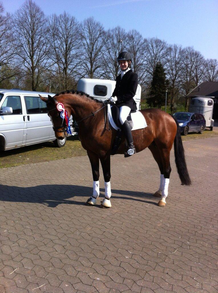 Oldenborg Passadena avenue billede 10