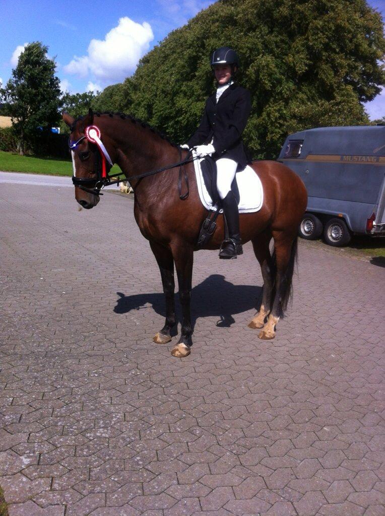 Oldenborg Passadena avenue billede 15