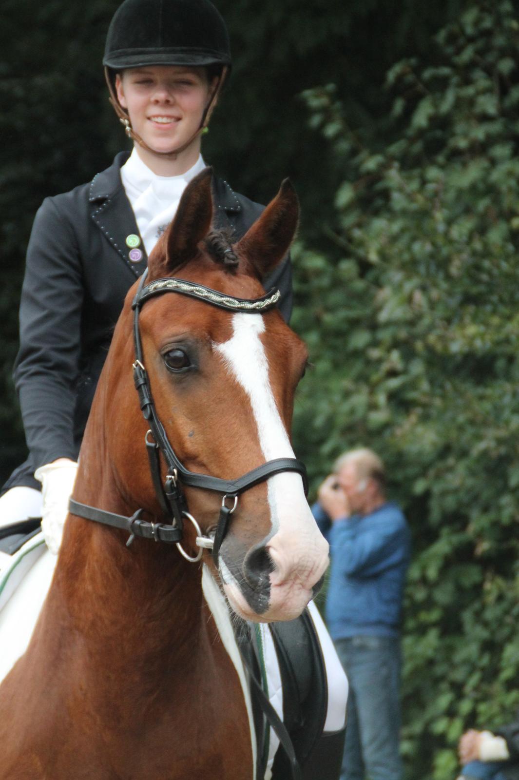 Anden særlig race DIXI [B-PONY] - Ponyen kan jo godt se godt ud. LA6 i Herning. billede 27