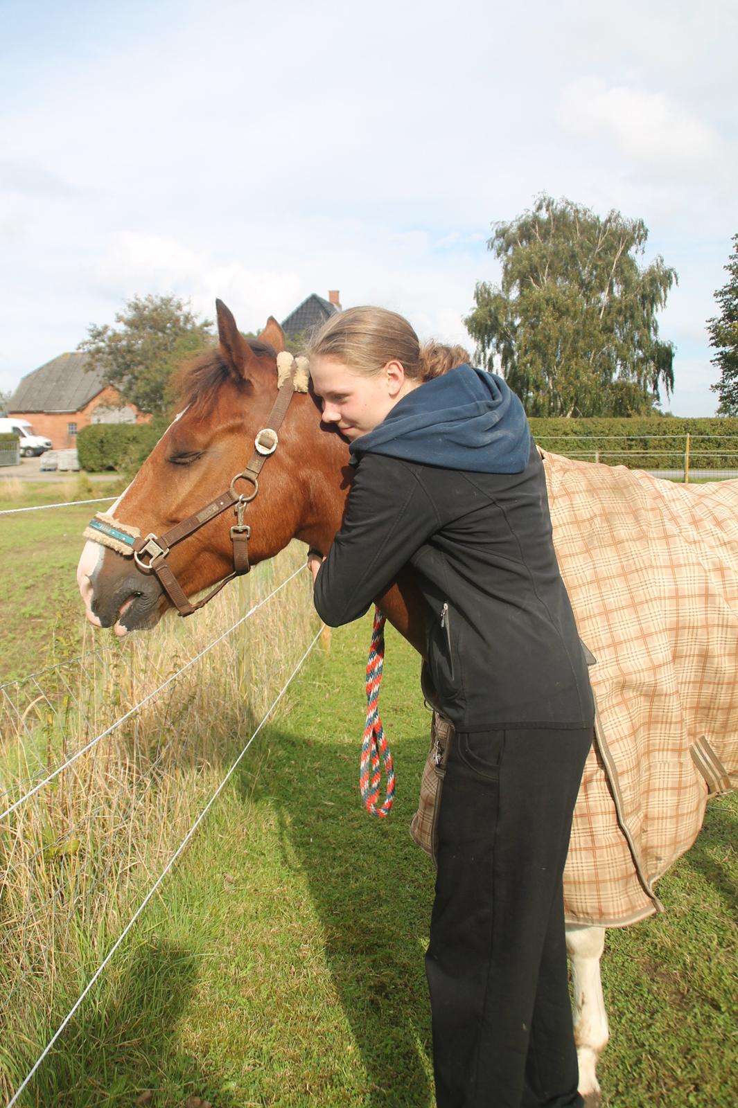 Anden særlig race DIXI [B-PONY] - Jeg elsker dig over alt på jorden billede 36