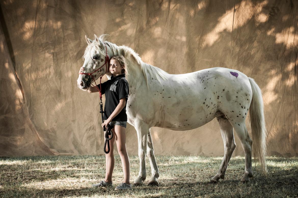 Anden særlig race Snow Girl billede 10