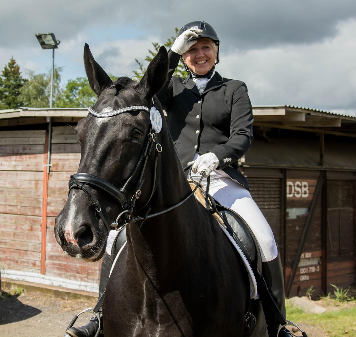 Dansk Varmblod Schaløer billede 14