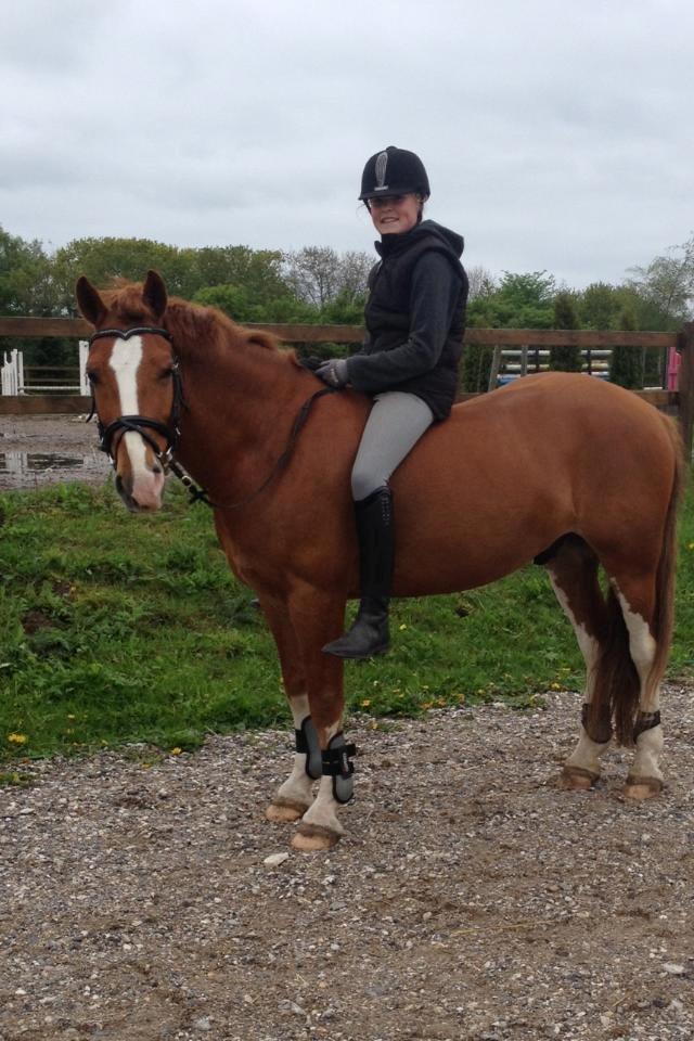 Irsk Sportspony Mr. Derwin <3 - Verdens bedste <3 billede 17