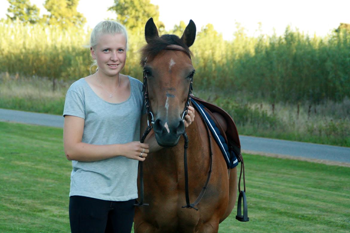 Hollandsk Sportspony Jasmijn billede 3