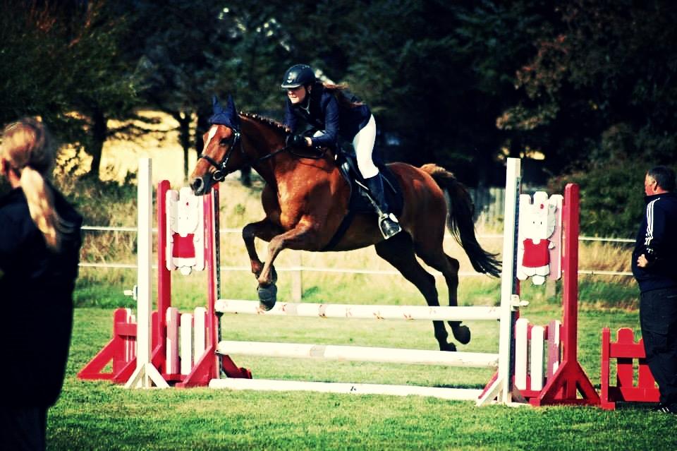 Anden særlig race Møllegårdens Pallas Athene billede 5